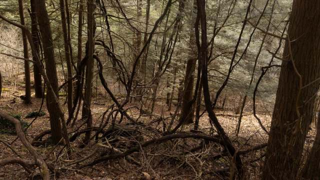 Experts say prevention and early action are key.