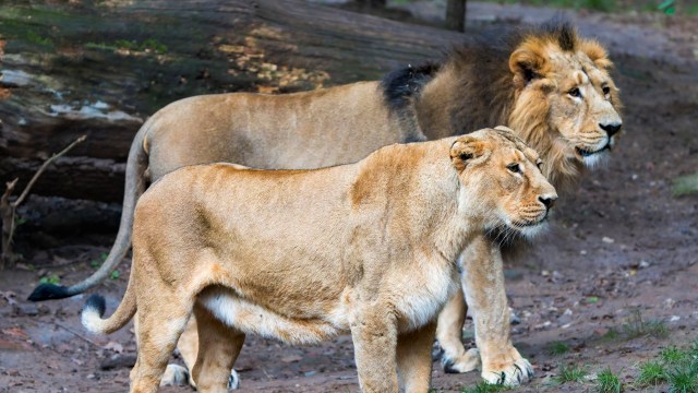 "Another important factor here is the political will and support of the local people."