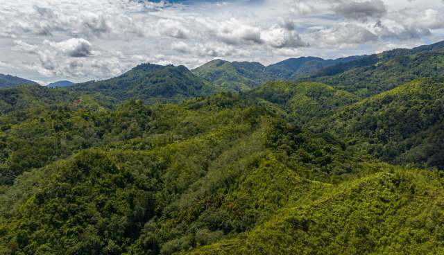 "I'm not joking when I say it came down to the very last SD card that we looked at, from the very last camera that we collected, on the very last day of our expedition."