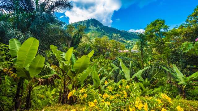 "We still need to determine its population size."