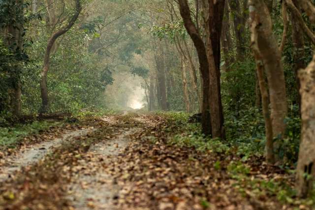 "Once again, we have been fortunate to capture an image of a rare species."