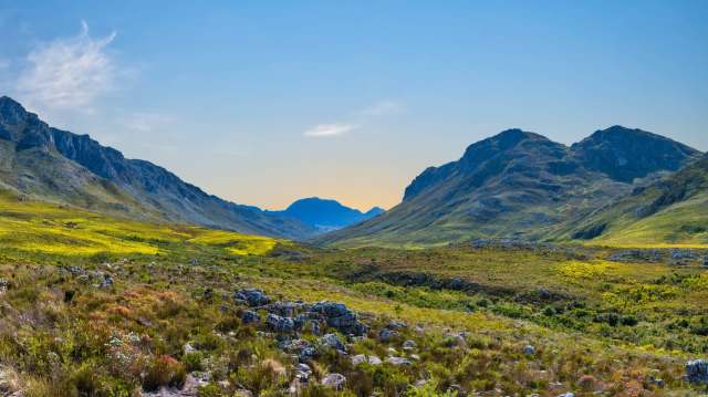 "This remarkable discovery was made possible by a group of enthusiastic, motivated, and skilled partners working together."