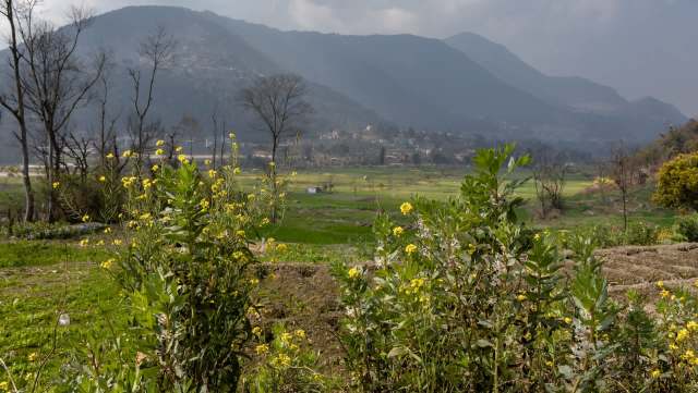 This isn’t a lost cause.