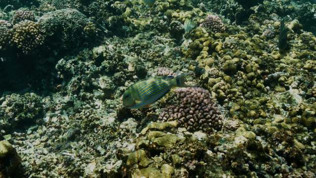 The danger is here now.