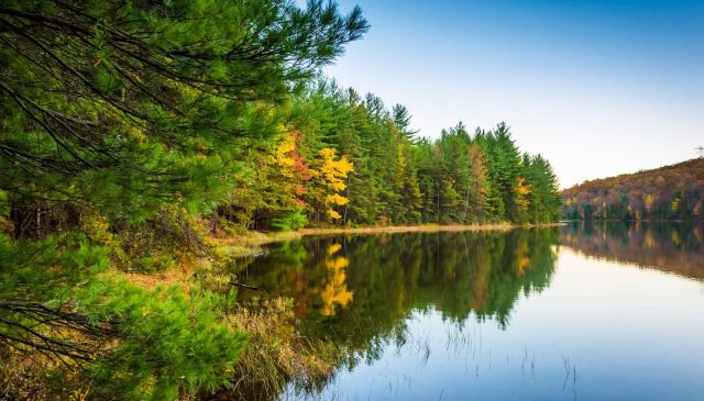 "We've kind of got back on track now."