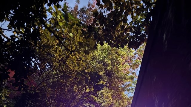 "Shouldn't be a thing."