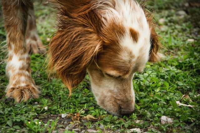 "I love that you guys are doing this."