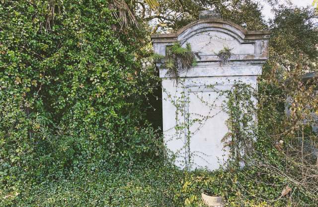 The cemetery hopes to repeat the project every two years.