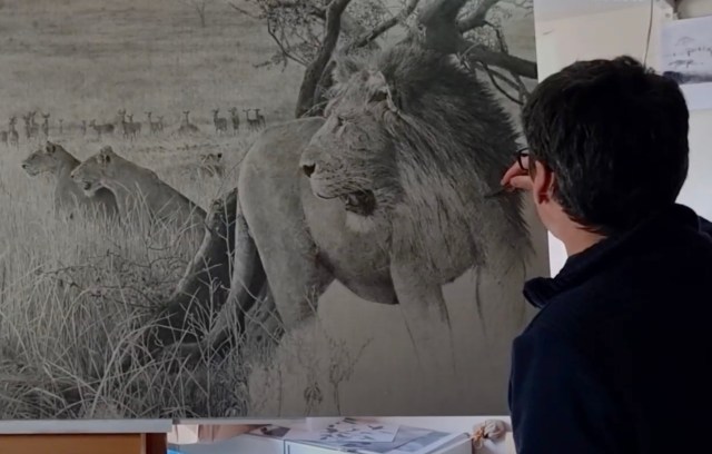 "All the pieces completed for this project only show the habitats and species that I have seen on my visits."