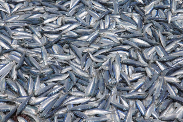 "Hopefully down the line, it helps us."