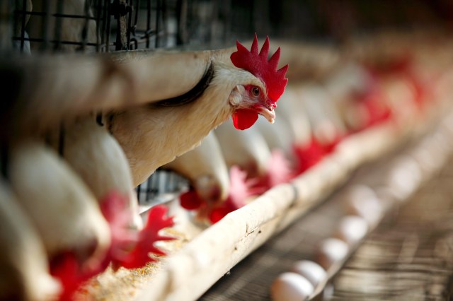 "We have been incurring losses for the past few months."