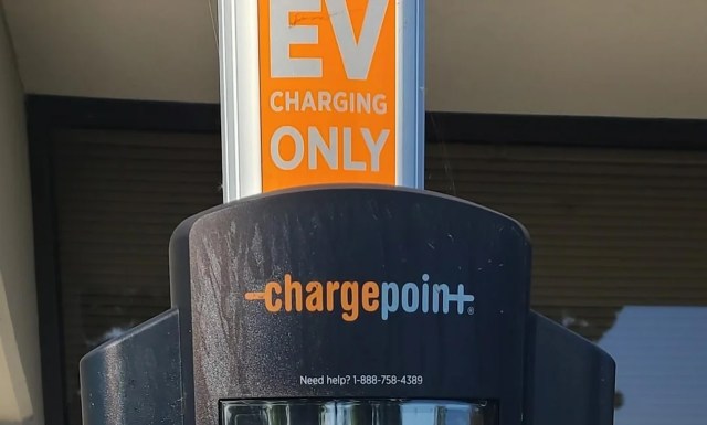 "There is another one not pictured next to this one, and it was untouched."