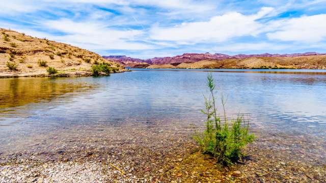 "We need the water!"