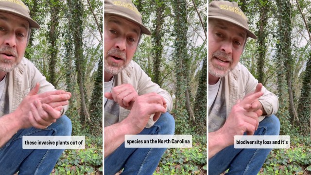 "If you've got it, get it out — if you don't have it, don't plant it."