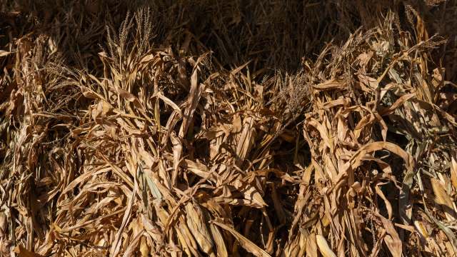 "There are questions, such as how you’ll pay back the bank."