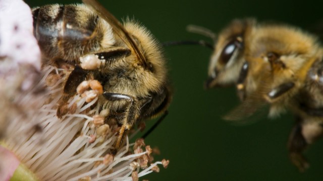 "It's about protecting the systems we all depend on."