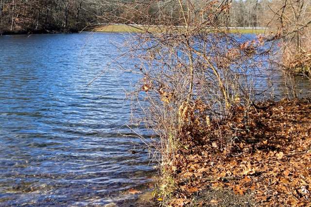 The process took a little longer than expected, but five years and about $12 million in government grants later, a celebration is finally warranted.