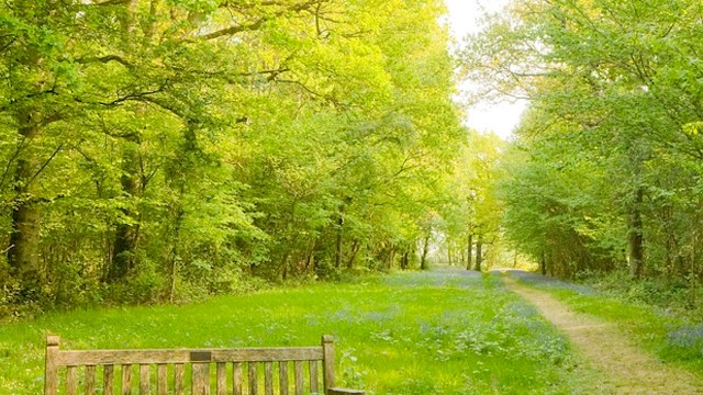 It is the kind of story that shows what lasting impact personal choices can have.