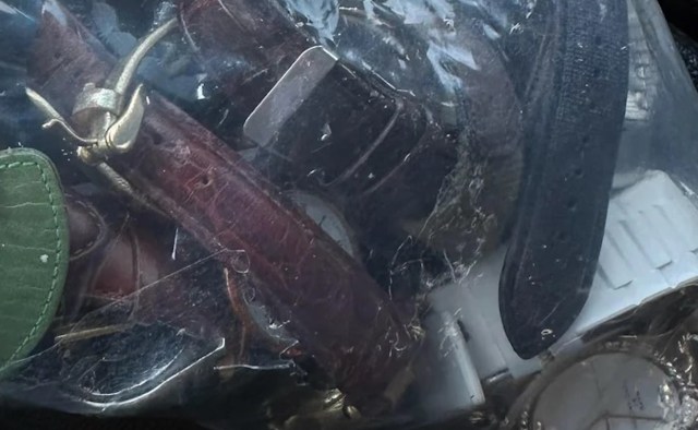 "You never know what you'll find at a Goodwill."