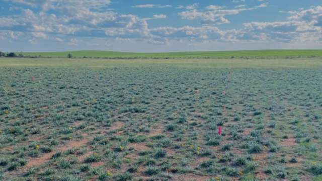 It could endanger food security.