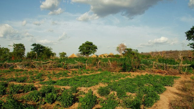 The project is aimed at tackling the complex causes of food insecurity.