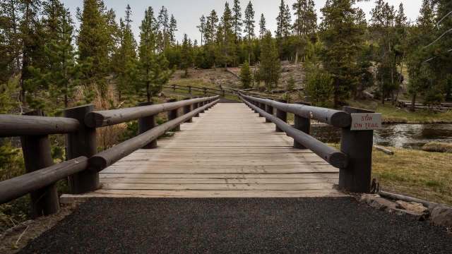 "He looks and runs exactly like I knew he would."