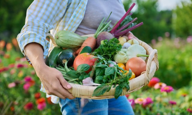 "Food insecurity has been a major concern in our underserved communities."