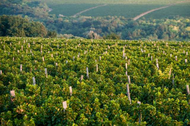 Elsewhere, the hail was powerful enough to cause injuries and even deaths.