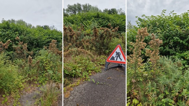 "Absolute nightmare."