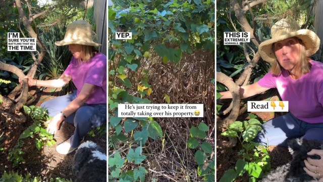 "It is horrible and I hate it."