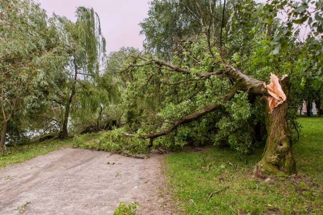 These violent storms damage homes and businesses, potentially injuring and killing people while raising insurance premiums.