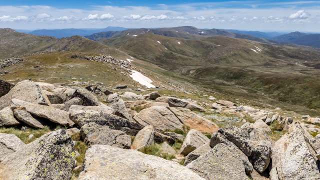 "Exciting and quite unexpected."