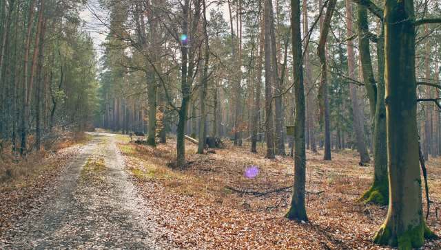 Both humans and animals could be put at risk.