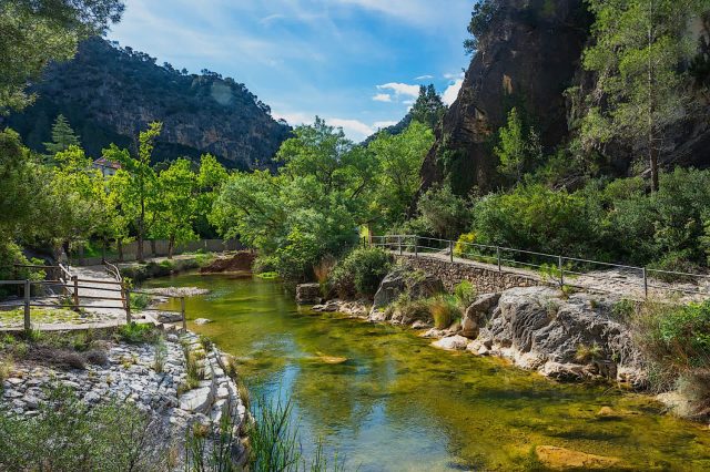 "Development is planned over vital habitat for endangered and threatened species."