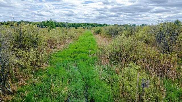 The animals were eager to get started.