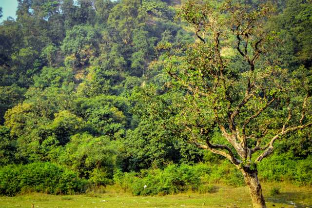 This kind of biodiversity recovery isn't just about nature.