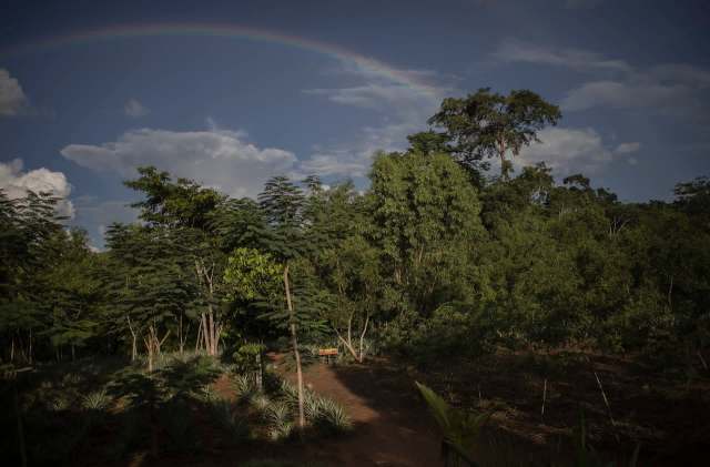 It was the first of the species to be there in over 10 years.