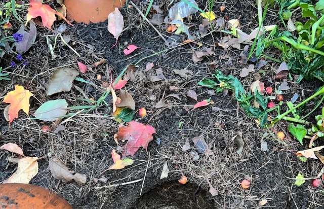 "Simple and effective."