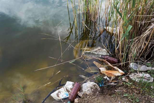 "We have bipartisan momentum and a moral obligation to act."