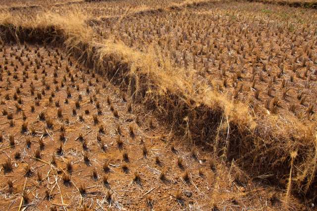 Pakistan national emergency