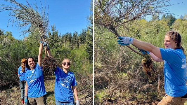 "As the day came to a close, volunteers left behind a transformed landscape and a renewed sense of connection to the land."
