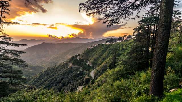 "This discovery opens new avenues for birdwatching."