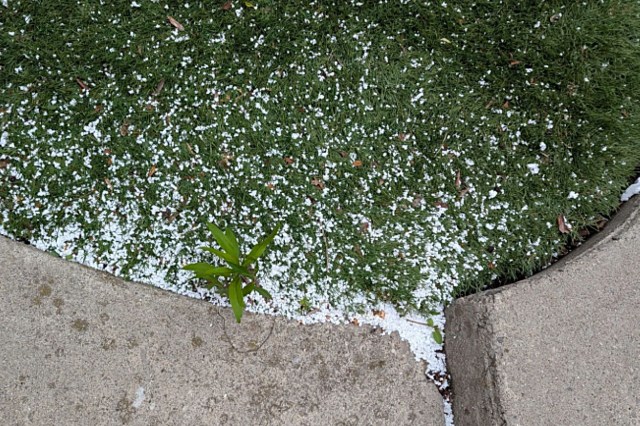 "Make it public everywhere you can."