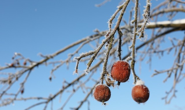 The drought will also hit customers' wallets.