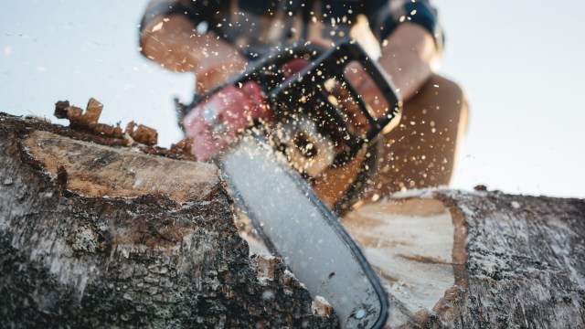 "We're horrified by it."