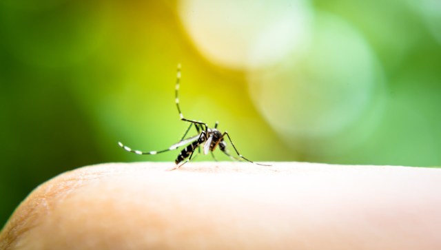 "People older than 60 and individuals with weakened immune systems are at higher risk for severe illness."