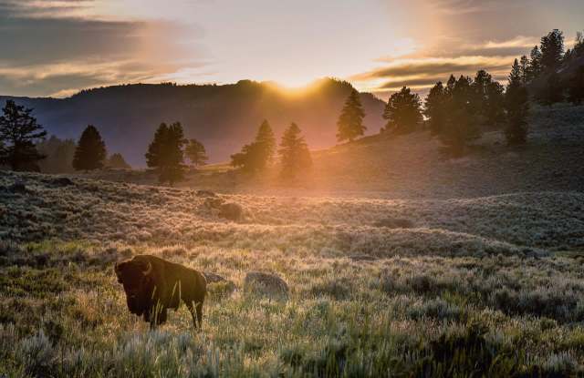 "That was really a bad idea."