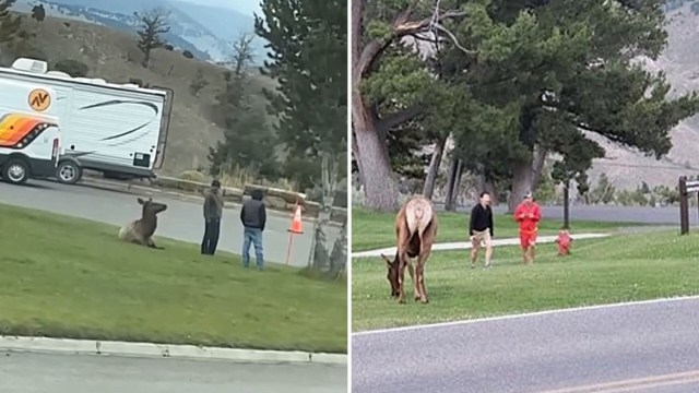 "They don't enter your house!"