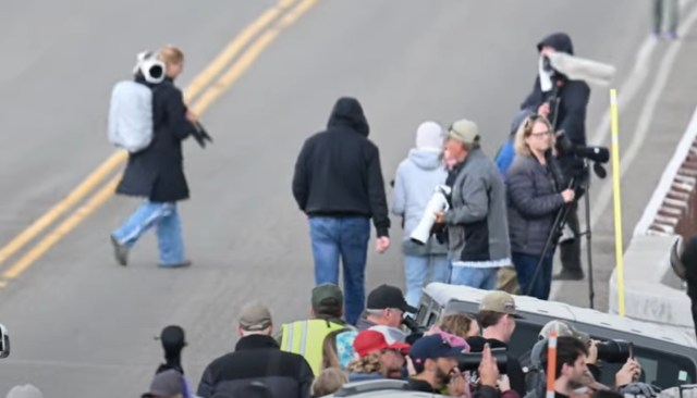 "Give wildlife room, use a zoom."