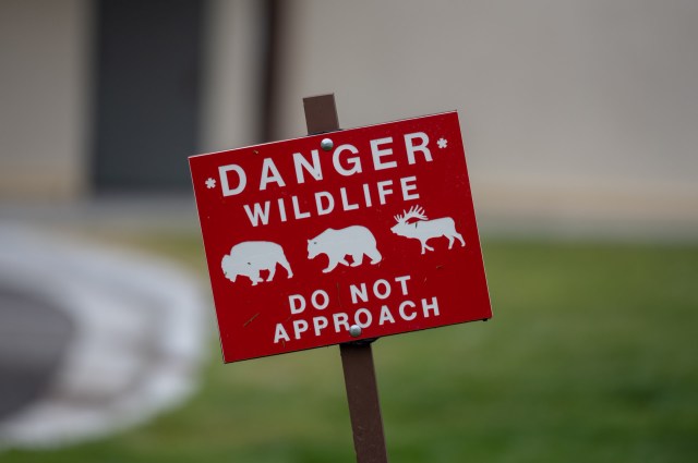 "Darwin has entered the chat."